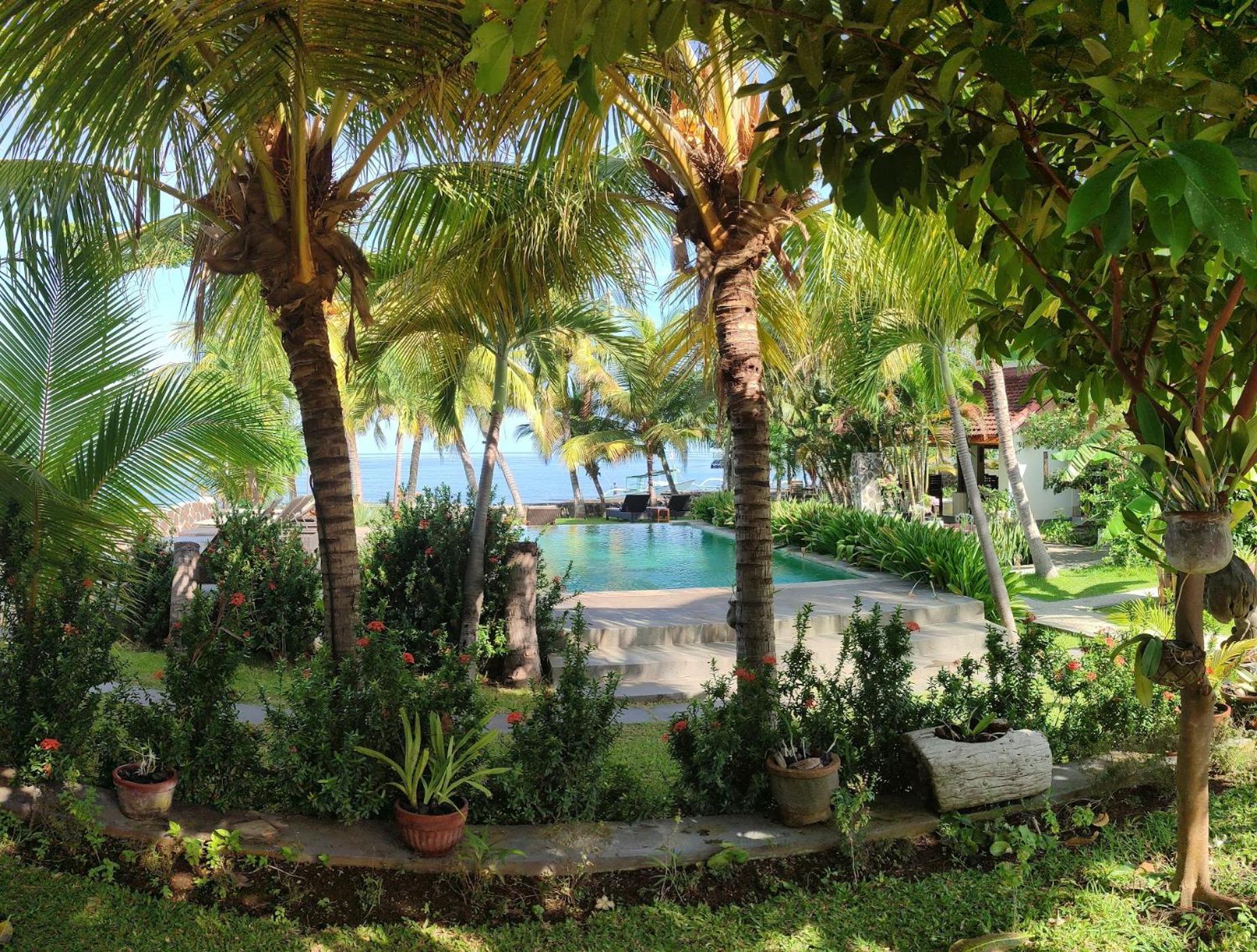 1000 Dream Bungalow Lovina  Ngoại thất bức ảnh